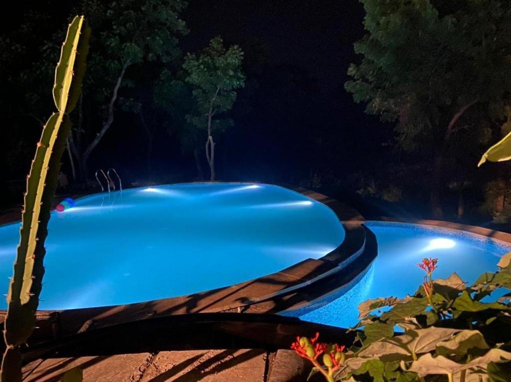 Amaltas Villa Удайпур Екстериор снимка