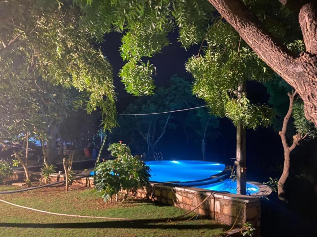 Amaltas Villa Удайпур Екстериор снимка